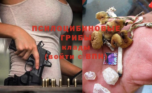 spice Алексеевка