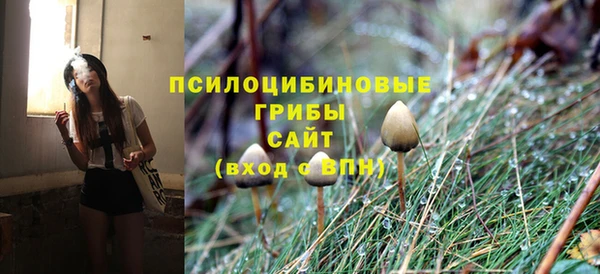 скорость Алексин
