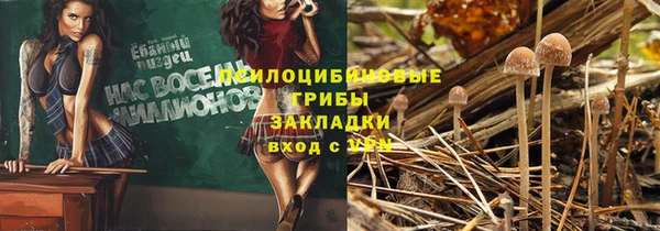 скорость Алексин