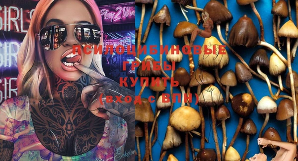 spice Алексеевка